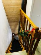 Top Porumbacu de Sus