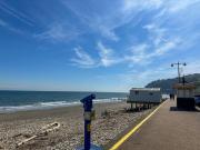 Top Shanklin