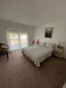 Top Palm Harbor