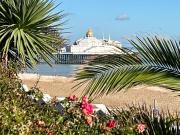 Top Eastbourne