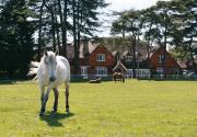 Beaulieu Hotel Beaulieu Hotel