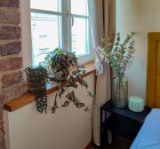 Top Toruń Top Toruń