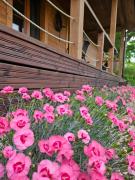 Top Gałkowo Top Gałkowo