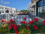 Antica Puglia Antica Puglia