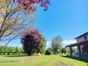 Top Castagnole Lanze