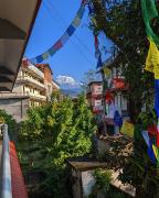 Top Pokhara