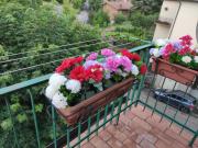 Top Castel del Piano