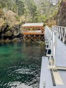 Top Seward