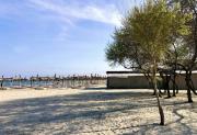 Top Mamaia Nord