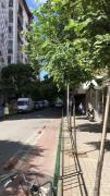 Top Tirana