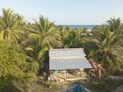 Top Chamuscadero Top Chamuscadero