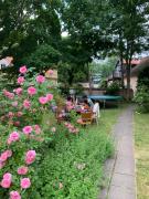 Top Kuressaare Top Kuressaare