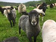 Top Karlskrona Top Karlskrona