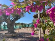 Top Moratalla Top Moratalla