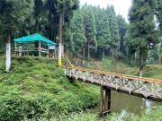 Top Darjeeling