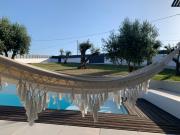 Top Bombarral Top Bombarral