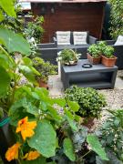 Top Ortignano Raggiolo