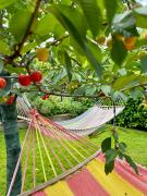 Top Ortignano Raggiolo