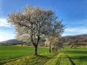 Top Hannoversch Münden