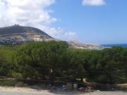 Top Bizerta