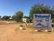 Top Carnarvon