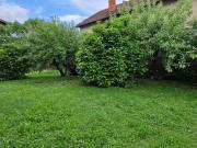 Top Domžale Top Domžale