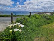Houses by the Sea An Fód Dubh