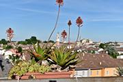 Top Viadana