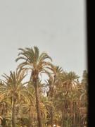 Top Marrakesz