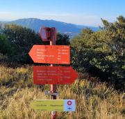 Top Senožeče Top Senožeče