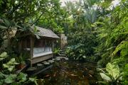 Top Ubud