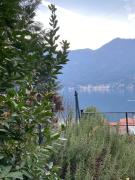 Top Nesso