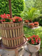 Top Isola del Gran Sasso dʼItalia