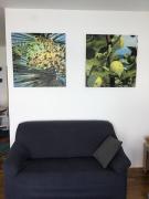 Top Vantačići Top Vantačići