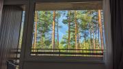 Top Gauja