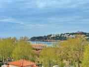 Top SAgaro