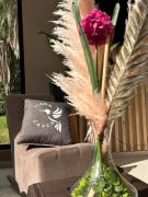 Top Carmen de Apicalá Top Carmen de Apicalá