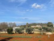 Top Ostuni