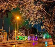 Top Pereira
