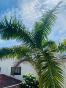 Top Cartagena de Indias