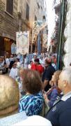 Top Bisceglie