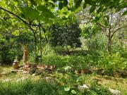 Top Tirana Top Tirana