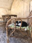 Top Matera