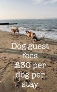 Dog friendly cottage 2 mins to beach with hot tub and Zappi EV