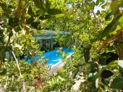 Top Silk Island