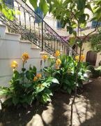 Top Canosa di Puglia