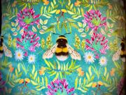 Top Canterbury Top Canterbury