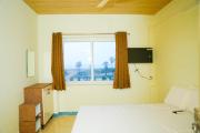 Top Nellore