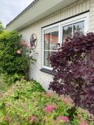 Top Burgh Haamstede