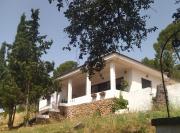 Bonita casa blanca en el bosque.